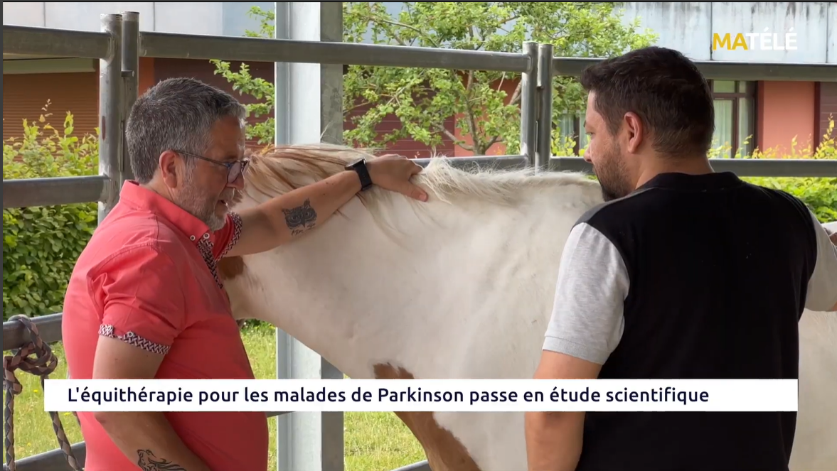 L'équithérapie pour les malades de Parkinson passe en étude scientifique